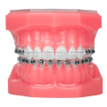 Купить ОРТОДОНТИЯ по выгодной цене в интернет-магазине "Мастер Фарм"
